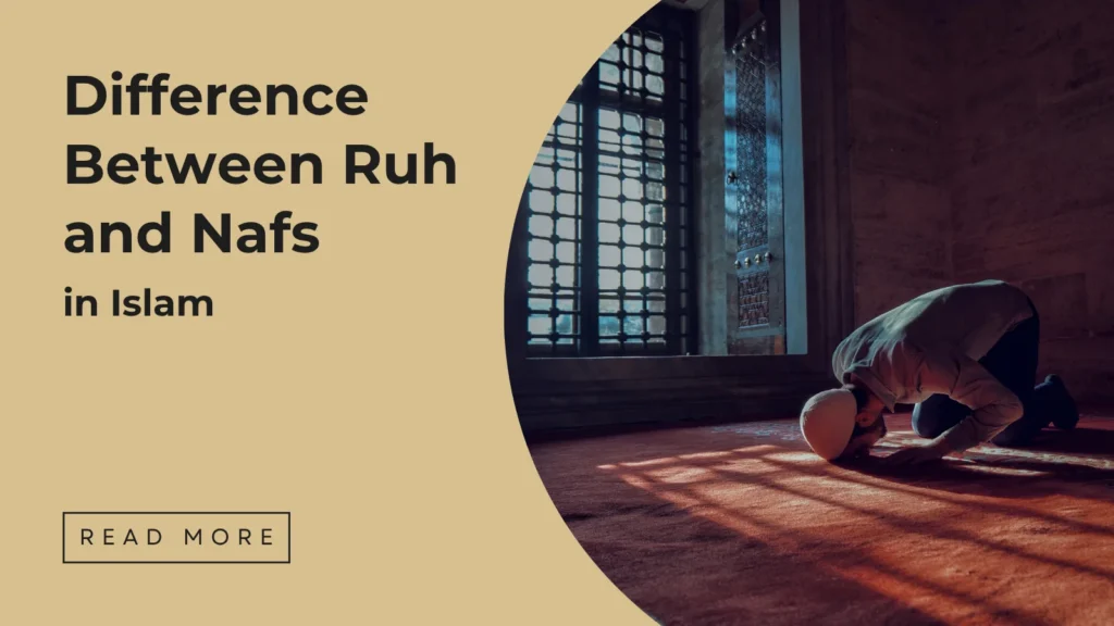 Difference Between Ruh and Nafs in Islam - Sakeena Academy