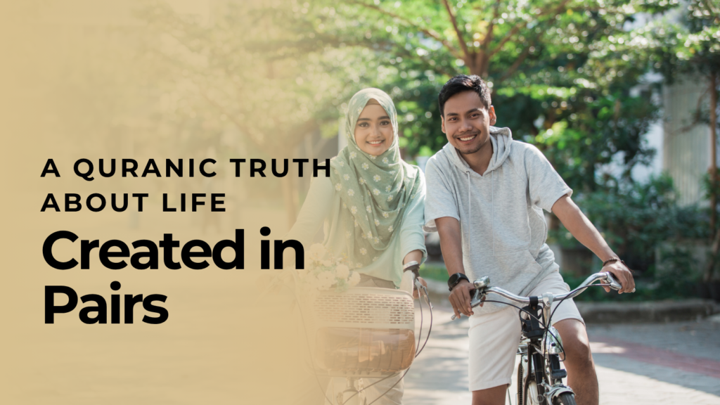 Created in Pairs – A Quranic Truth About Life